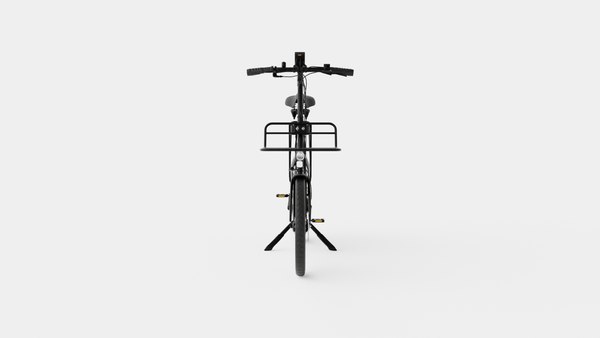 Cargobike Delivery 3D model