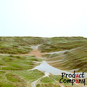 Landscape 46