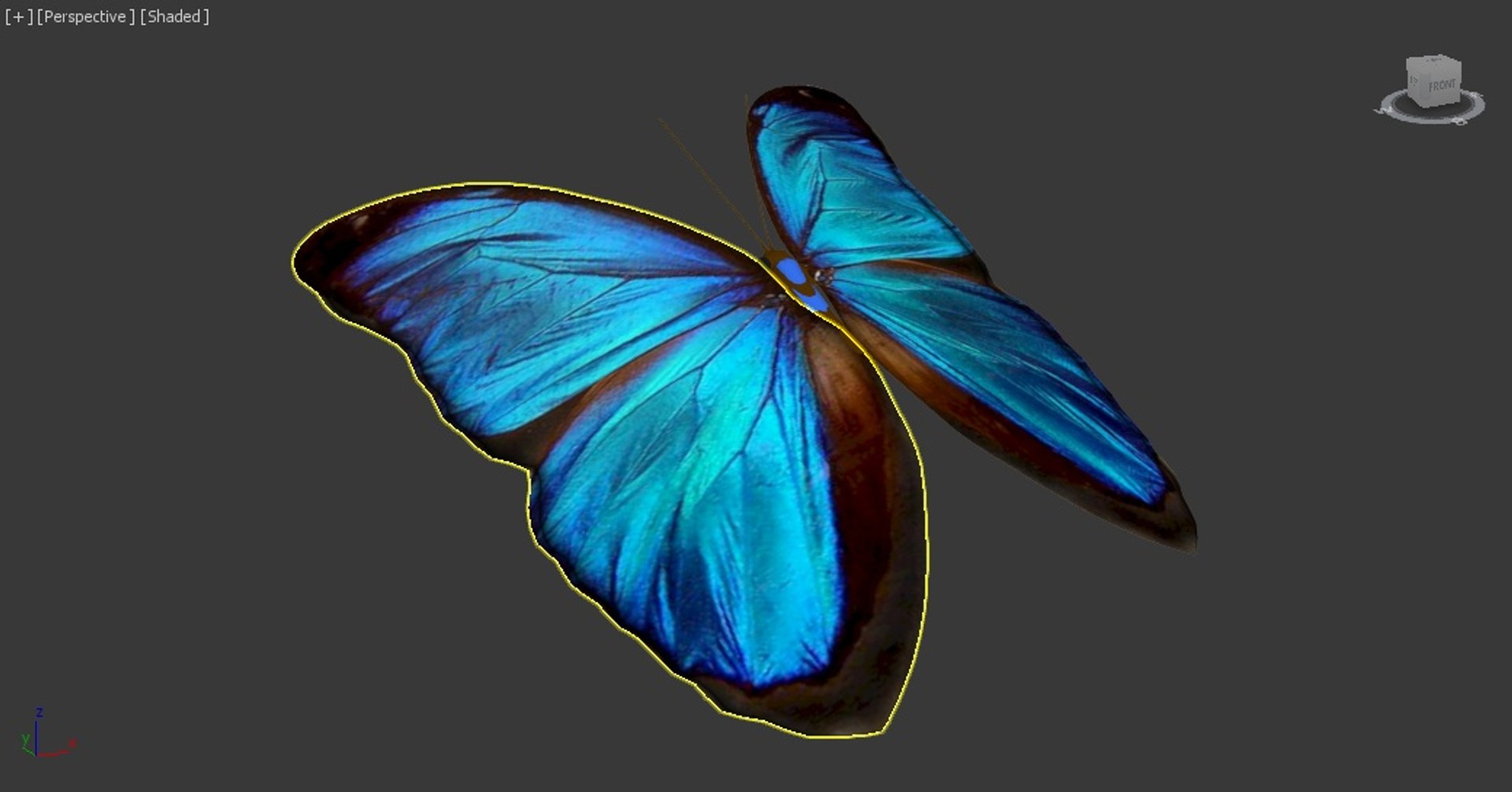 Butterfly Fly 3D Model - TurboSquid 1189157