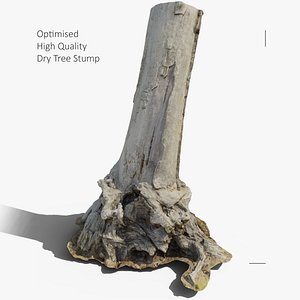 Tree Stump 3D model