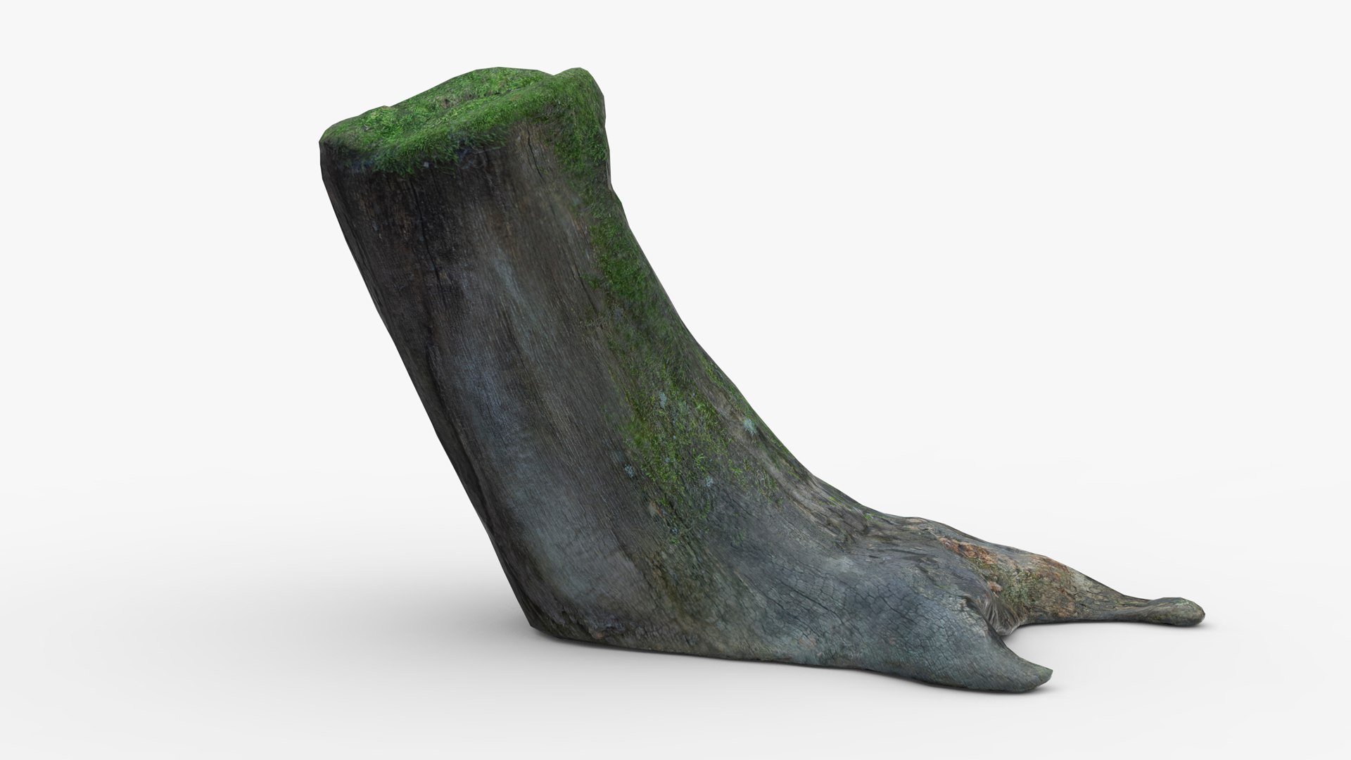 ScanStump1 Model - TurboSquid 1976043