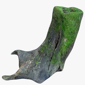 ScanStump1 model