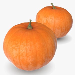 3D pumpkin 4 scan model