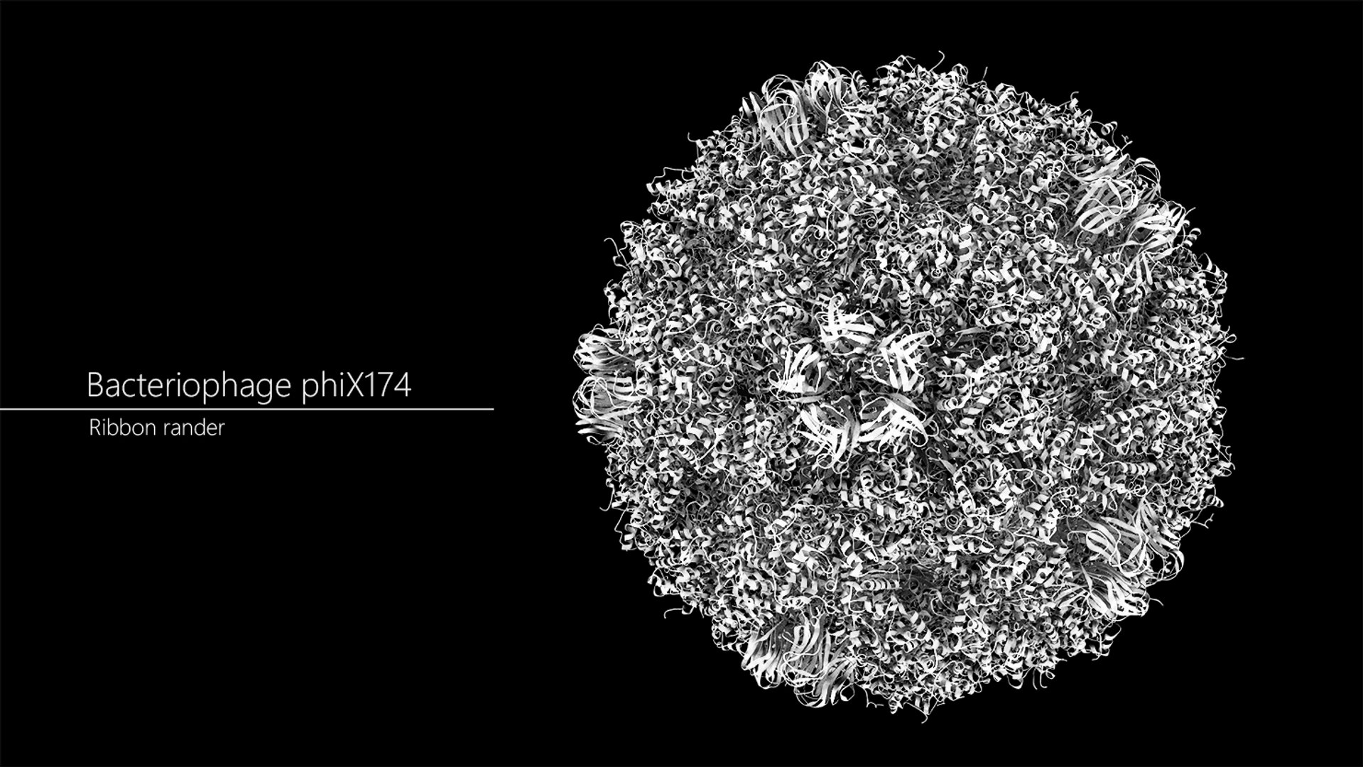 Enterobacteria Bacteriophage Phix174 Capsid 3D - TurboSquid 1360845