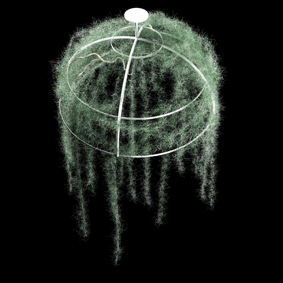 spanish moss dome 3D model https://p.turbosquid.com/ts-thumb/Lj/MsJTyo/0C72yMfX/3/jpg/1518892226/1920x1080/fit_q87/de66b1342c83b9fcccf2f57102328badf6144714/3.jpg