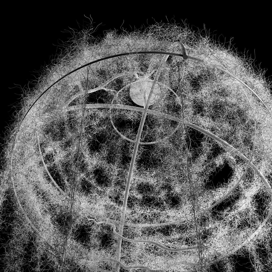 spanish moss dome 3D model https://p.turbosquid.com/ts-thumb/Lj/MsJTyo/lvRxgcwr/6/jpg/1518892226/1920x1080/fit_q87/cf1f38382b6b7f881ba73a68fa56826b4117b0f1/6.jpg