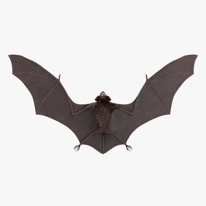 Vampire Bat model