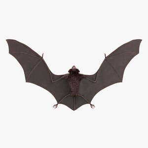Vampire Bat