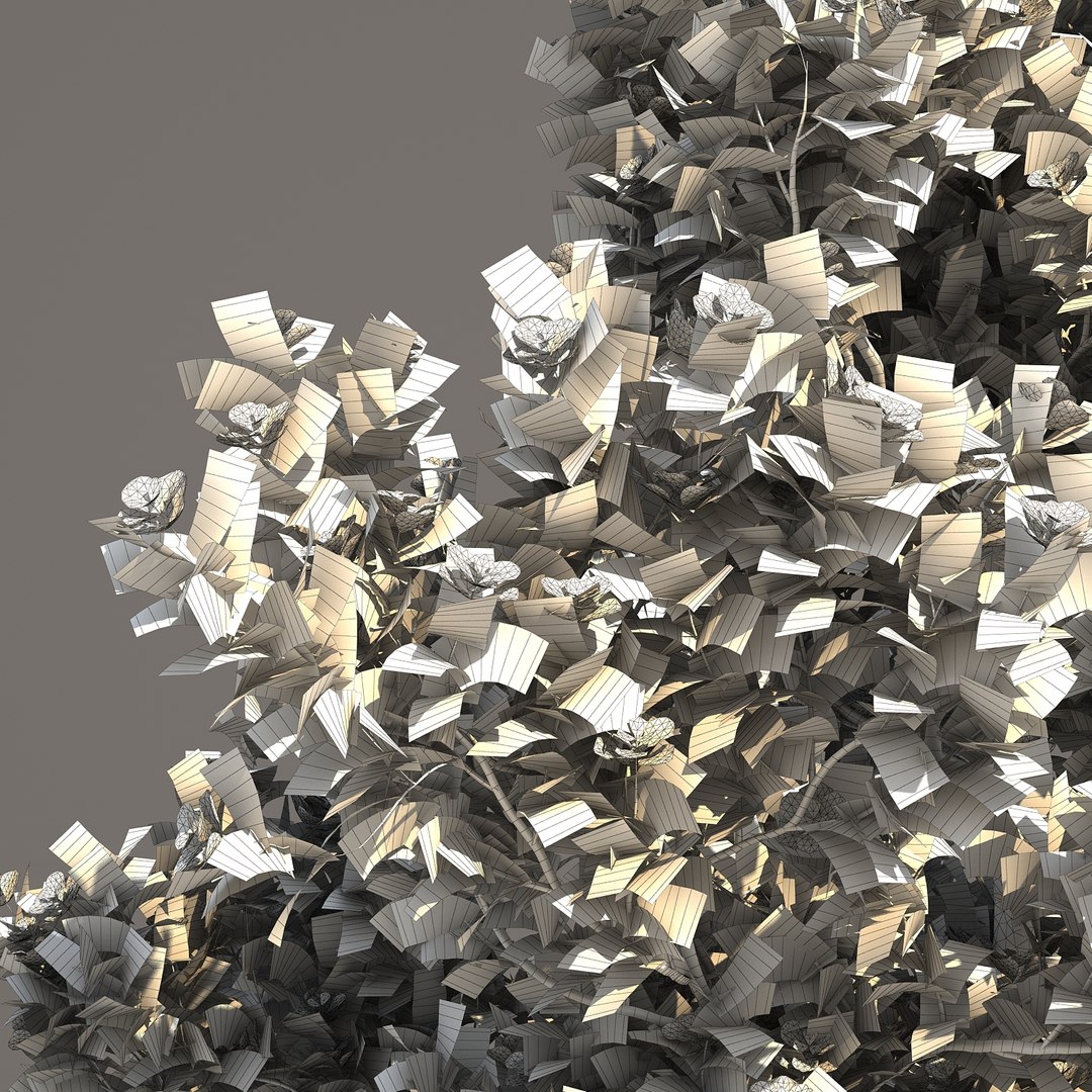 3d model 2 5 tree https://p.turbosquid.com/ts-thumb/Lj/Rkt0c1/596MPidC/magnoliagrandiflora_07/jpg/1469577555/1920x1080/fit_q87/57d1a9182a1a0cffe41ddda6f2ef81185af9ce67/magnoliagrandiflora_07.jpg
