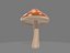 Champignon magique
