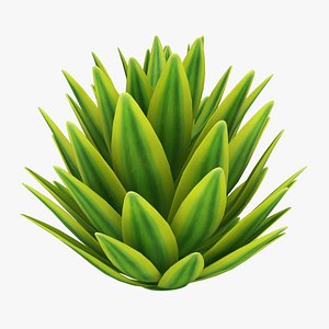 3D agave lophantha model