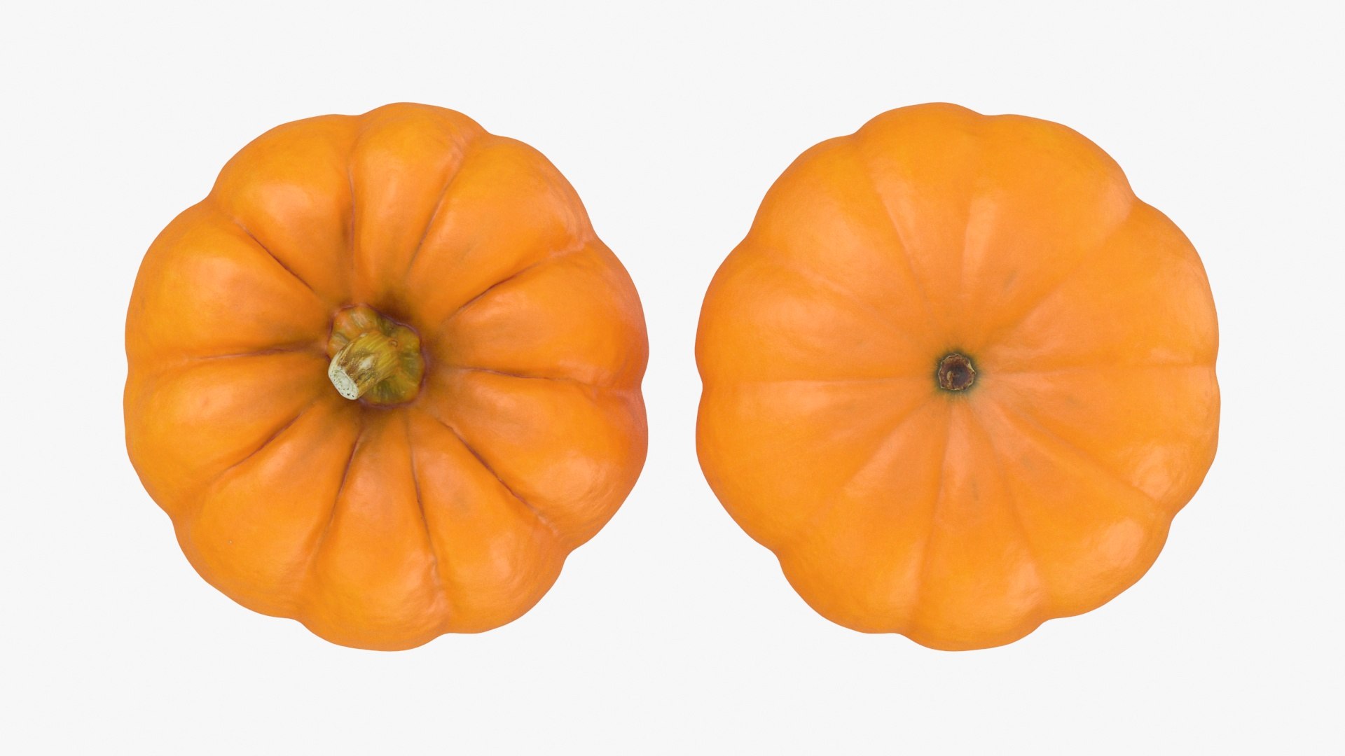 Pumpkin Baby Collection 3D https://p.turbosquid.com/ts-thumb/Lk/EIDwiO/Dg/pumpkin_jackbelittle_a0002/jpg/1710826352/1920x1080/fit_q87/31df3407049175cd6ac3e9c1dad443e3d5c891e4/pumpkin_jackbelittle_a0002.jpg