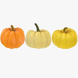Pumpkin Baby Collection 3D