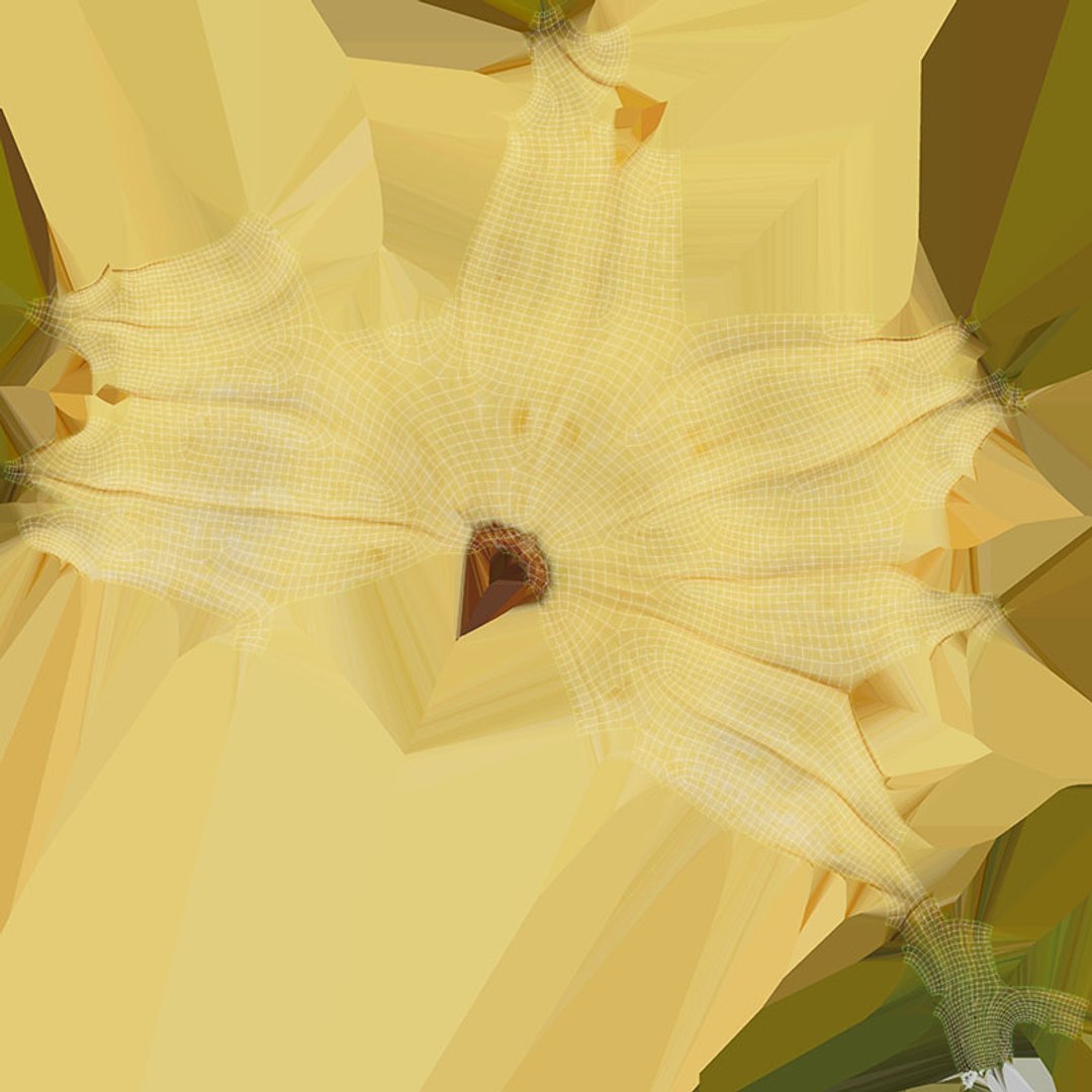 Pumpkin Baby Collection 3D https://p.turbosquid.com/ts-thumb/Lk/EIDwiO/s3/pumpkin_babyboo_d0004/jpg/1710317714/1920x1080/fit_q87/053a83e5b79353bf5e3b3f49780b6f452695bf07/pumpkin_babyboo_d0004.jpg