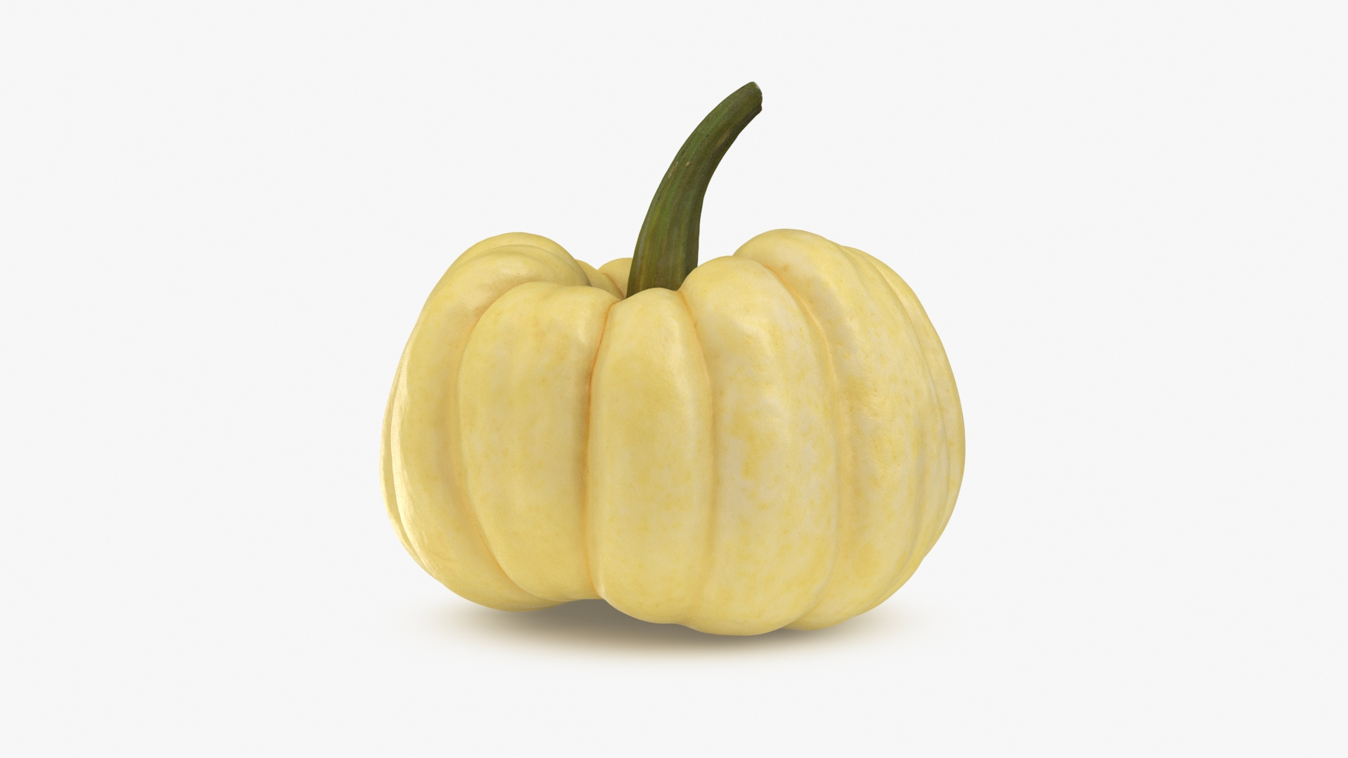 Pumpkin Baby Collection 3D https://p.turbosquid.com/ts-thumb/Lk/EIDwiO/vw/pumpkin_babyboo/jpg/1710317728/1920x1080/turn_fit_q99/bd2602b9684a9da025116d92815fd56fcba30923/pumpkin_babyboo-1.jpg