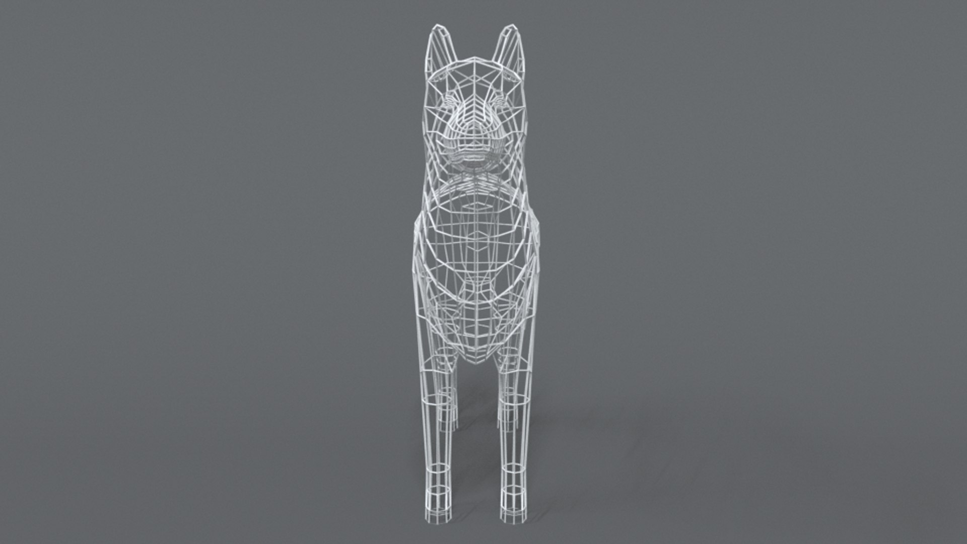 3D husky dog model - TurboSquid 1554061
