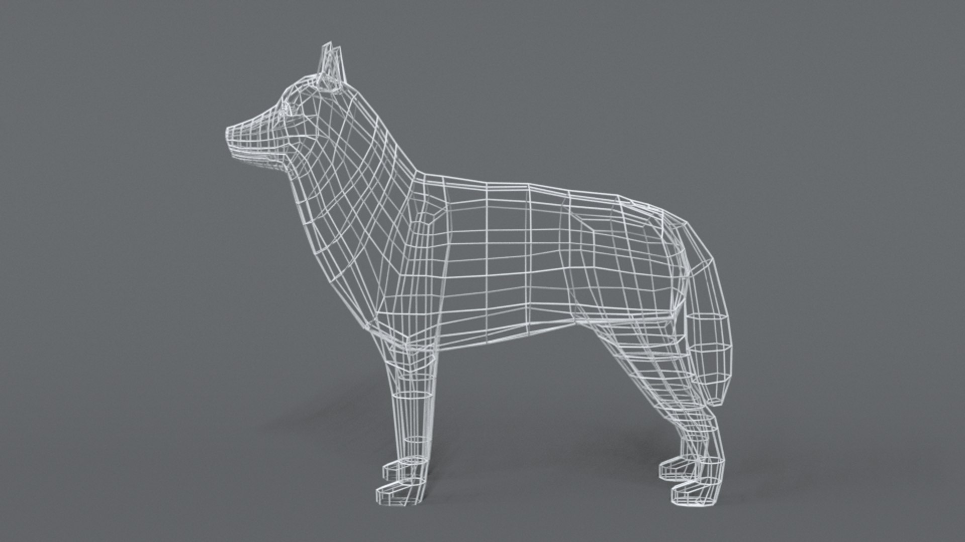 3D Husky Dog Model - TurboSquid 1554061