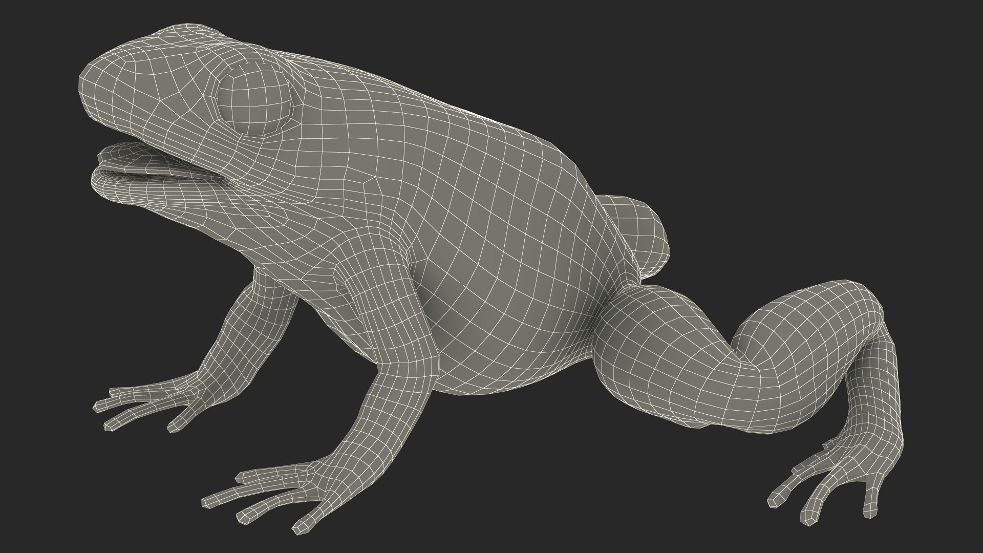 Orange Golden Poison Frog model https://p.turbosquid.com/ts-thumb/Lk/SvZ5oe/9k/orangegoldenpoisonfrogc4dmodel027/jpg/1706827287/1920x1080/fit_q87/915dcf28986ae6114cc57b25aa078b5ba55170a7/orangegoldenpoisonfrogc4dmodel027.jpg