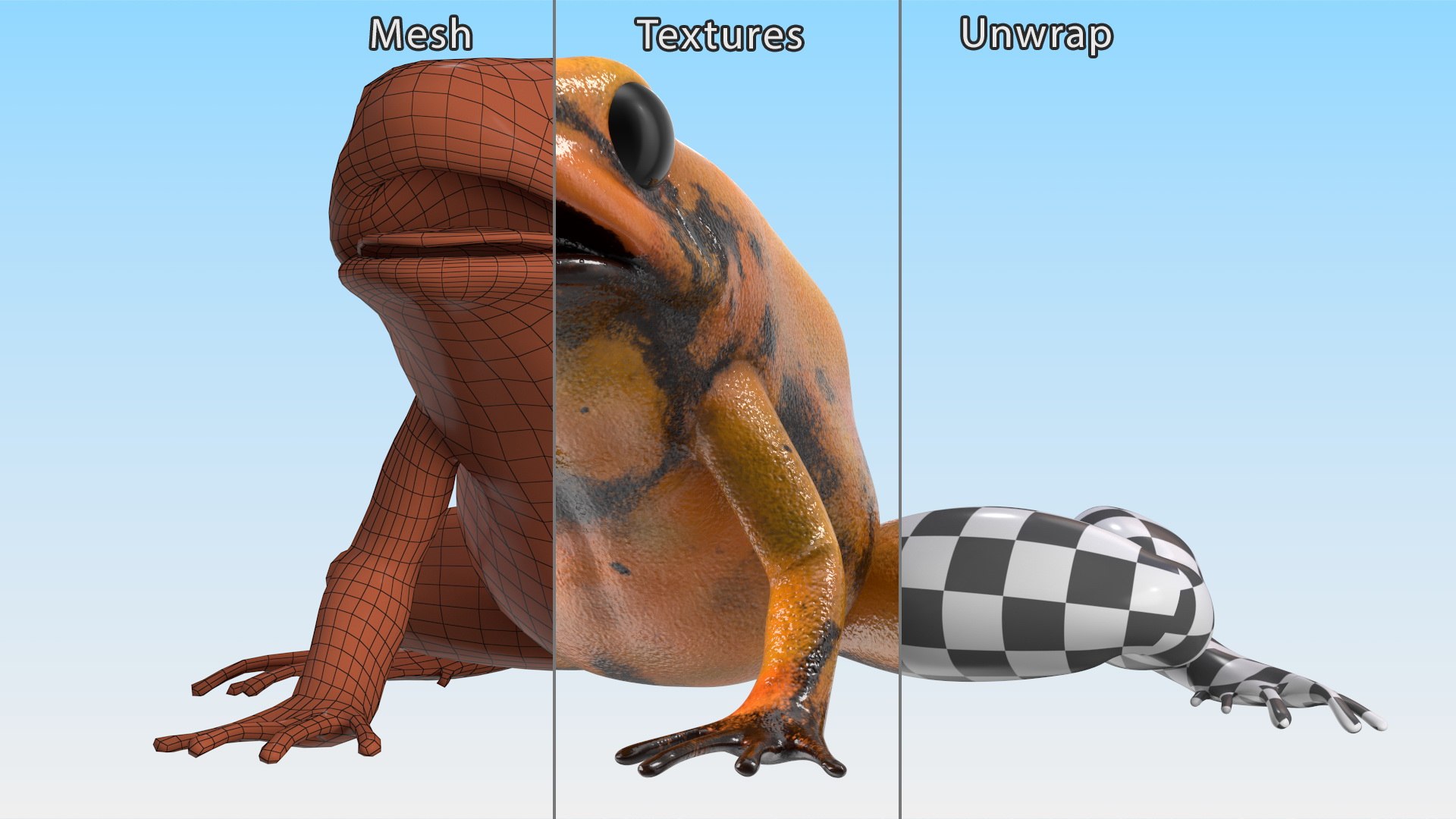 Orange Golden Poison Frog model https://p.turbosquid.com/ts-thumb/Lk/SvZ5oe/LU/orangegoldenpoisonfrogc4dmodel016/jpg/1706827235/1920x1080/fit_q87/81e41da29c1d42327f0dd65780d9ed7626532a3f/orangegoldenpoisonfrogc4dmodel016.jpg