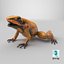 Orange Golden Poison Frog
