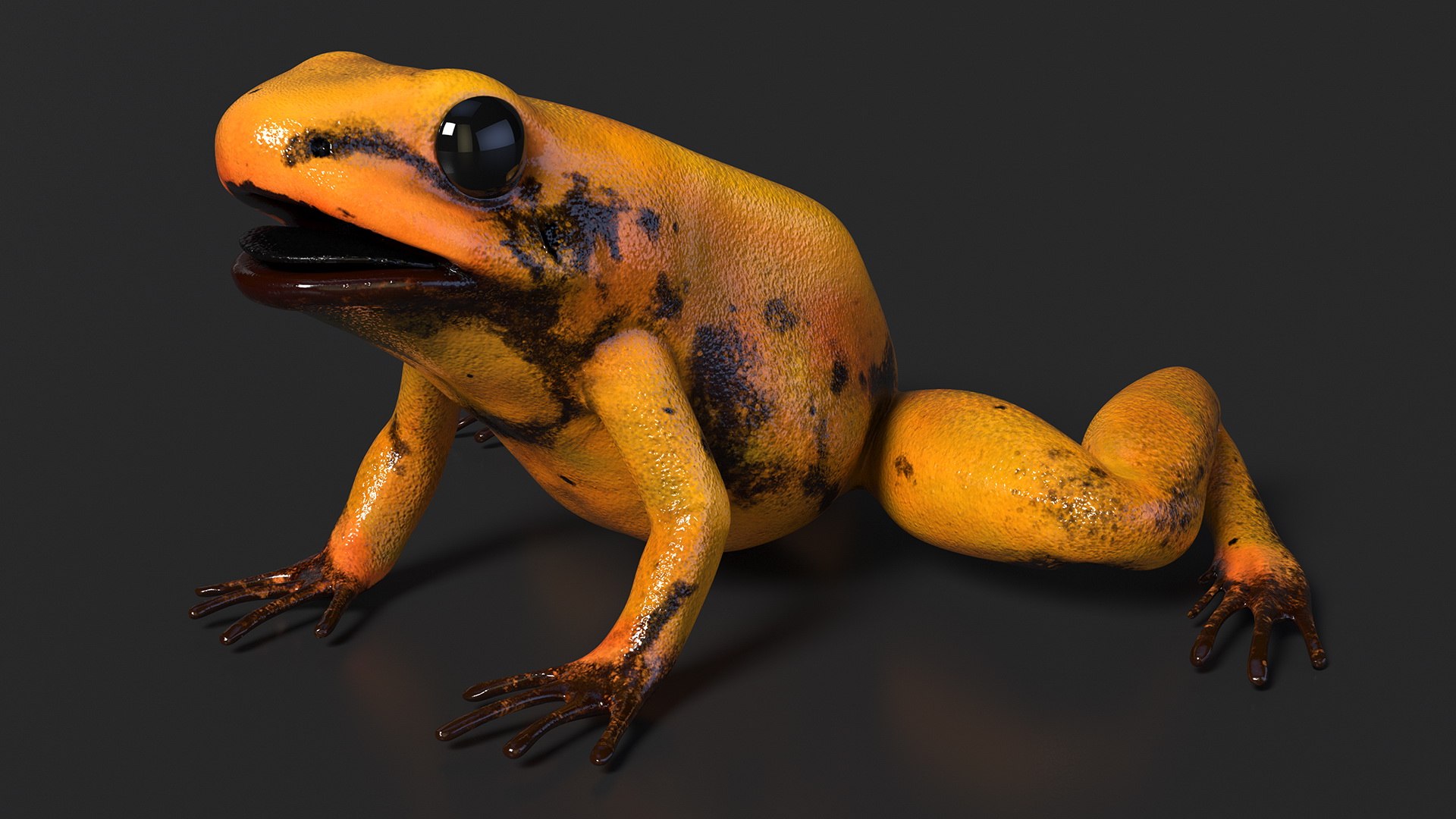 Orange Golden Poison Frog model https://p.turbosquid.com/ts-thumb/Lk/SvZ5oe/cL/orangegoldenpoisonfrogc4dmodel006/jpg/1706827190/1920x1080/fit_q87/4a7f2d5fa56b29c19b44da91dee1faf6f314d7f7/orangegoldenpoisonfrogc4dmodel006.jpg