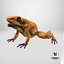 Orange Golden Poison Frog