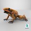 Orange Golden Poison Frog