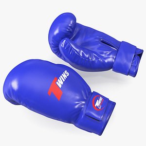 Special Boxing Gloves TWINS 3D model
