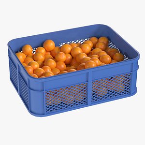 Clementine Plastic Crate 3D model