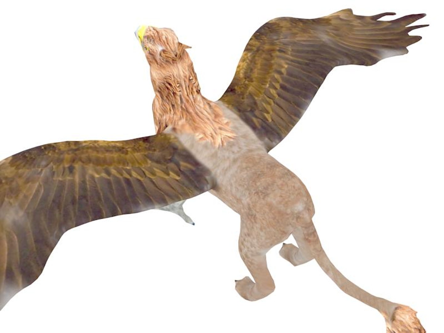 3d gryphon https://p.turbosquid.com/ts-thumb/Lk/ahn3iJ/J2LiMg7q/2/jpg/1385742076/1920x1080/fit_q87/05827488c484601839ecf752b8f1fc5e3df482a1/2.jpg