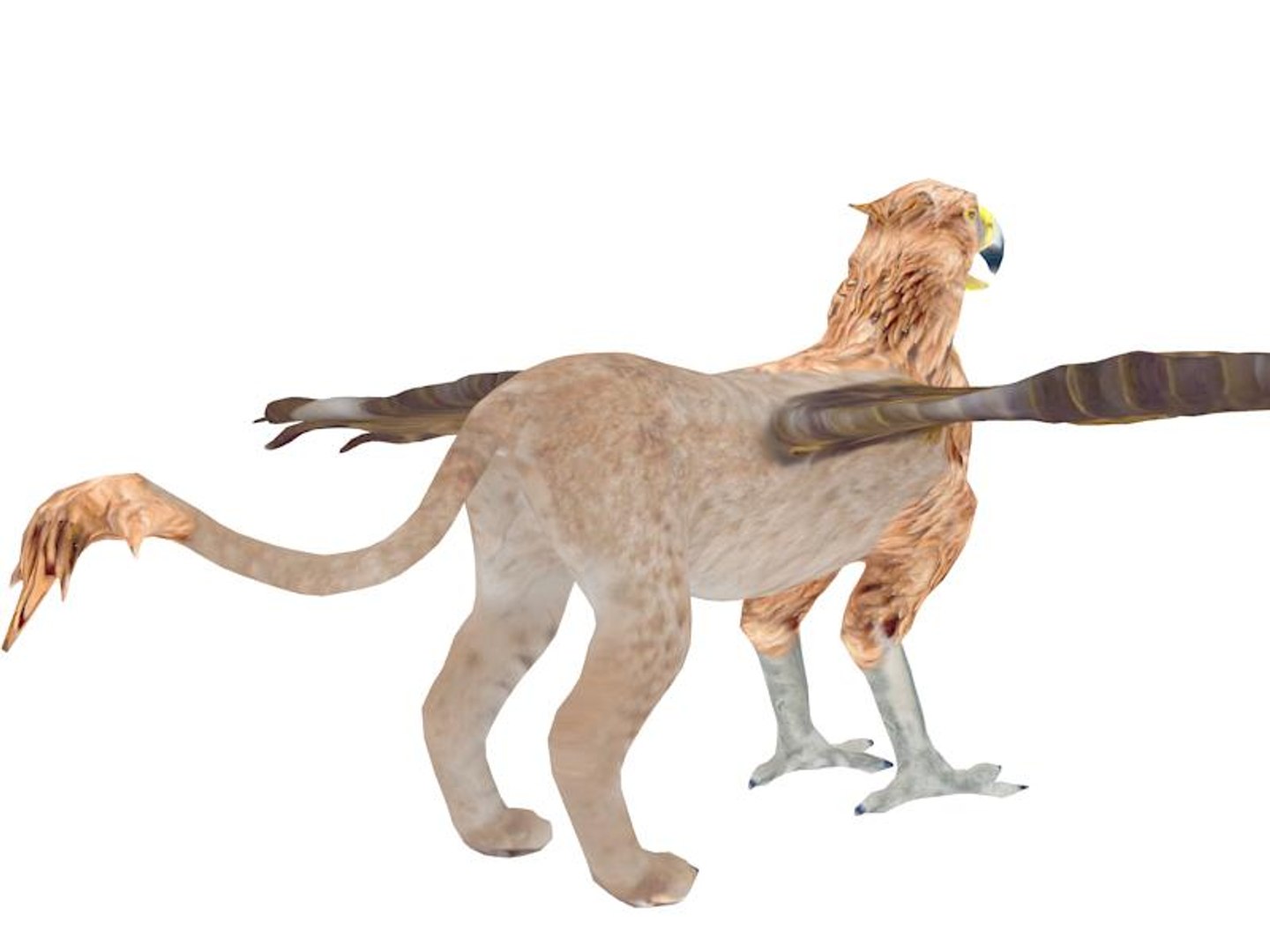3d gryphon https://p.turbosquid.com/ts-thumb/Lk/ahn3iJ/NrQJdXtz/3/jpg/1385742076/1920x1080/fit_q87/5acb16b92f1dbb169f9300e83b55e2c107d753d8/3.jpg
