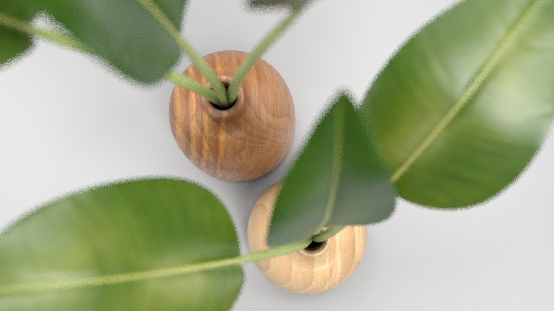 3D model Interior decor plants with wooden vase https://p.turbosquid.com/ts-thumb/Lk/ehOsgH/1W/wood_vases_004/jpg/1696690082/1920x1080/fit_q87/7e9d13a88711b0fc8758825d4bc4675470d12ad3/wood_vases_004.jpg