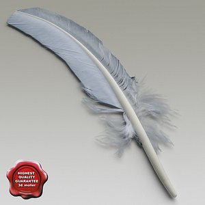 Bird feather V2