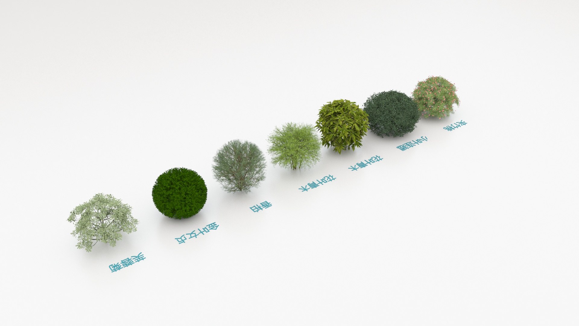 3D model Realistic Garden Plants 3D Model-12 https://p.turbosquid.com/ts-thumb/Lk/jg2qnA/bP/8/jpg/1788255636/1920x1080/fit_q87/e3b2301608159f8a14f5bd9807ef1415716d1318/8.jpg