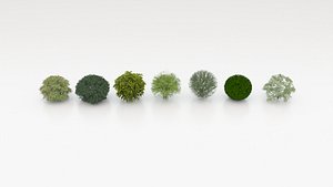 3D model Realistic Garden Plants 3D Model-12