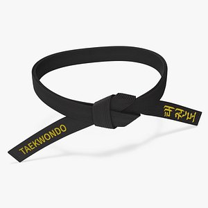 Taekwondo Waist Black Obi Belt