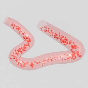 Procedural Curve Tube and Animated Object Flow  by Geometry Nodes 3D model