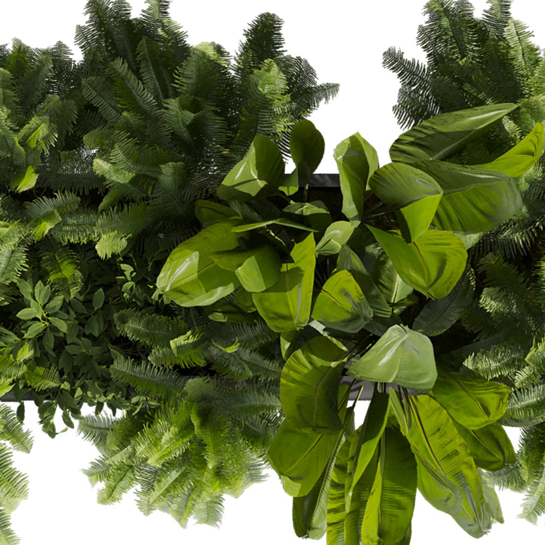 3D model plant vol 1009 - banana - fern - box https://p.turbosquid.com/ts-thumb/Ll/8MPh12/0o/4/jpg/1788714223/1920x1080/fit_q87/a149baa3e43b039318ccfa397c9062b39f62904b/4.jpg