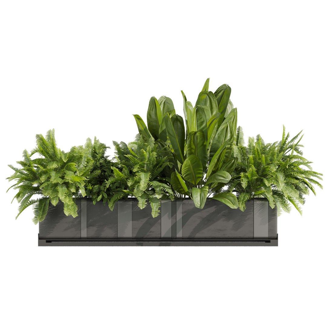 3D model plant vol 1009 - banana - fern - box https://p.turbosquid.com/ts-thumb/Ll/8MPh12/SR/2/jpg/1788714222/1920x1080/fit_q87/5c9ee9931f60710cb034072f49f9090d7f12eefc/2.jpg