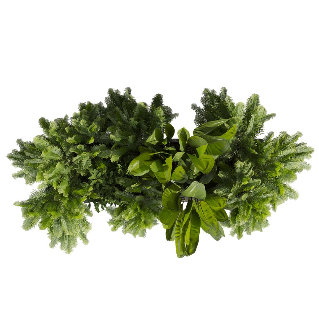 3D model plant vol 1009 - banana - fern - box https://p.turbosquid.com/ts-thumb/Ll/8MPh12/eV/3/jpg/1788714222/1920x1080/fit_q87/5d4f89c518808dd6cd4edb876f783778b713b2e6/3.jpg