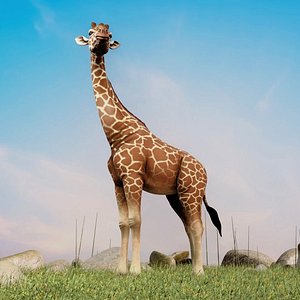 3D Realistic Stylized Giraffe
