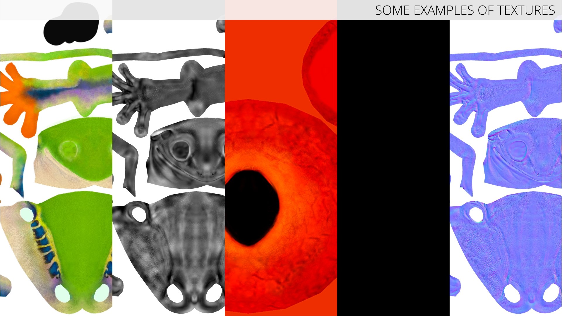Amphibian Red Eyed Tree Frog Rigged for Blender 3D model https://p.turbosquid.com/ts-thumb/Ll/O5xBKr/EC/amphibian_red_eyed_tree_frog_rigged_for_blender_016/jpg/1766169103/1920x1080/fit_q87/7c5156b0125c1ed2b39a2cb00446d43be1756808/amphibian_red_eyed_tree_frog_rigged_for_blender_016.jpg