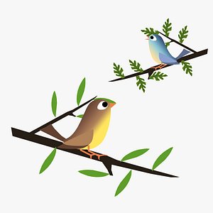 Animated Birds