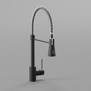 Kitchen faucet model