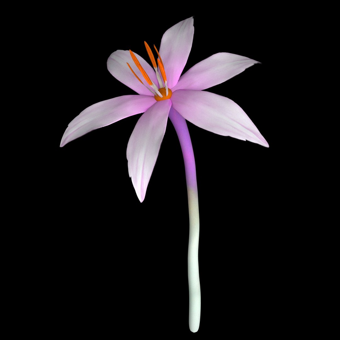 3D model flowers open animation https://p.turbosquid.com/ts-thumb/Ll/T1sAX3/PwR6nOIm/01/jpg/1593948759/1920x1080/fit_q87/141b7756d4bb33784f0a1e61b6cf0567e2b8fee0/01.jpg