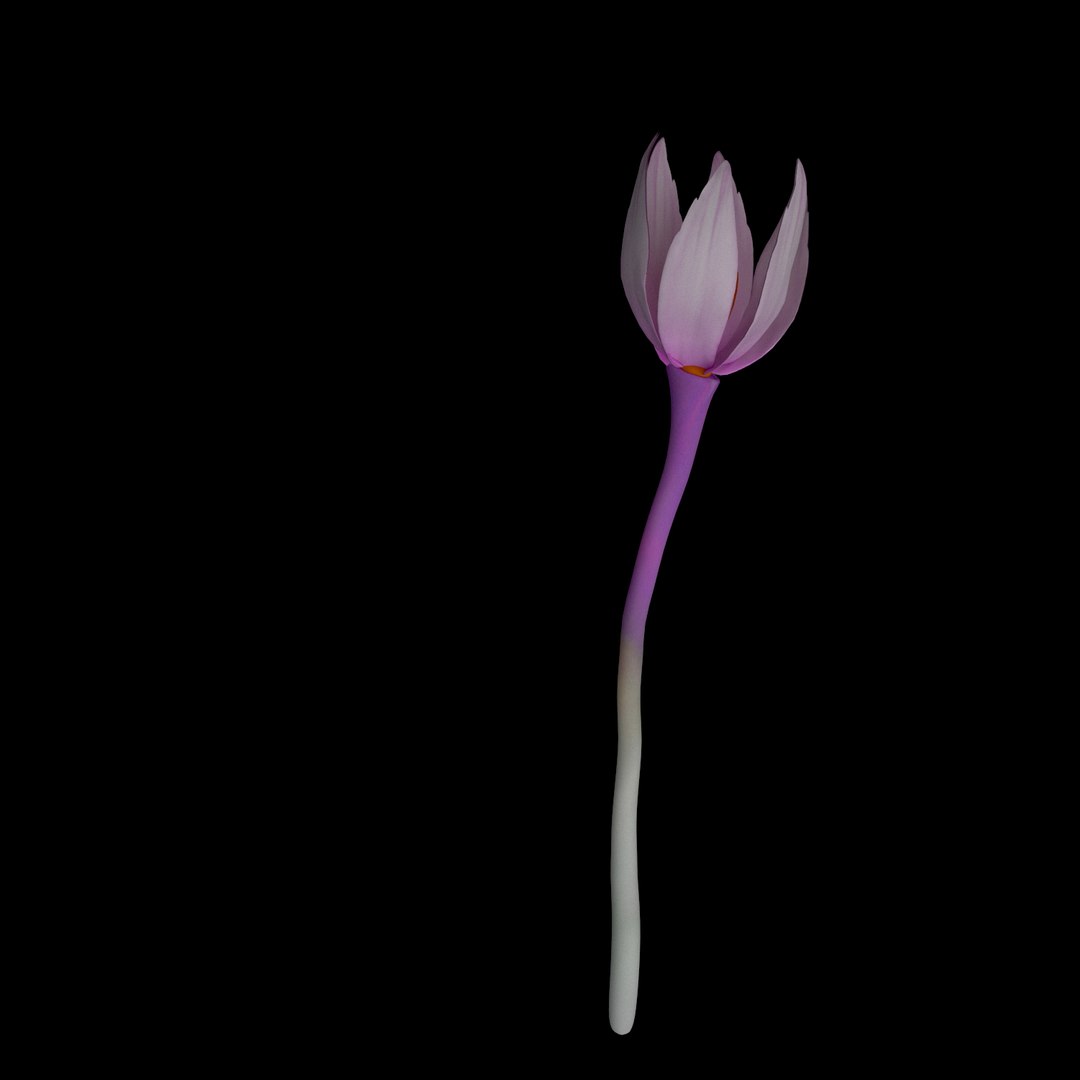 3D model flowers open animation https://p.turbosquid.com/ts-thumb/Ll/T1sAX3/TsRp4hRX/08/jpg/1593948941/1920x1080/fit_q87/4e0d781c7811f9cc836ea351317bd8e29a797770/08.jpg