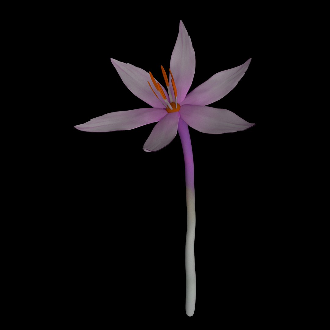 3D model flowers open animation https://p.turbosquid.com/ts-thumb/Ll/T1sAX3/Vy7i7Dw4/010/jpg/1593949358/1920x1080/fit_q87/2bd8391caf393dfe2f0f8037dea8ba5caf6e1950/010.jpg