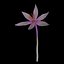 Colchicum Autumnale