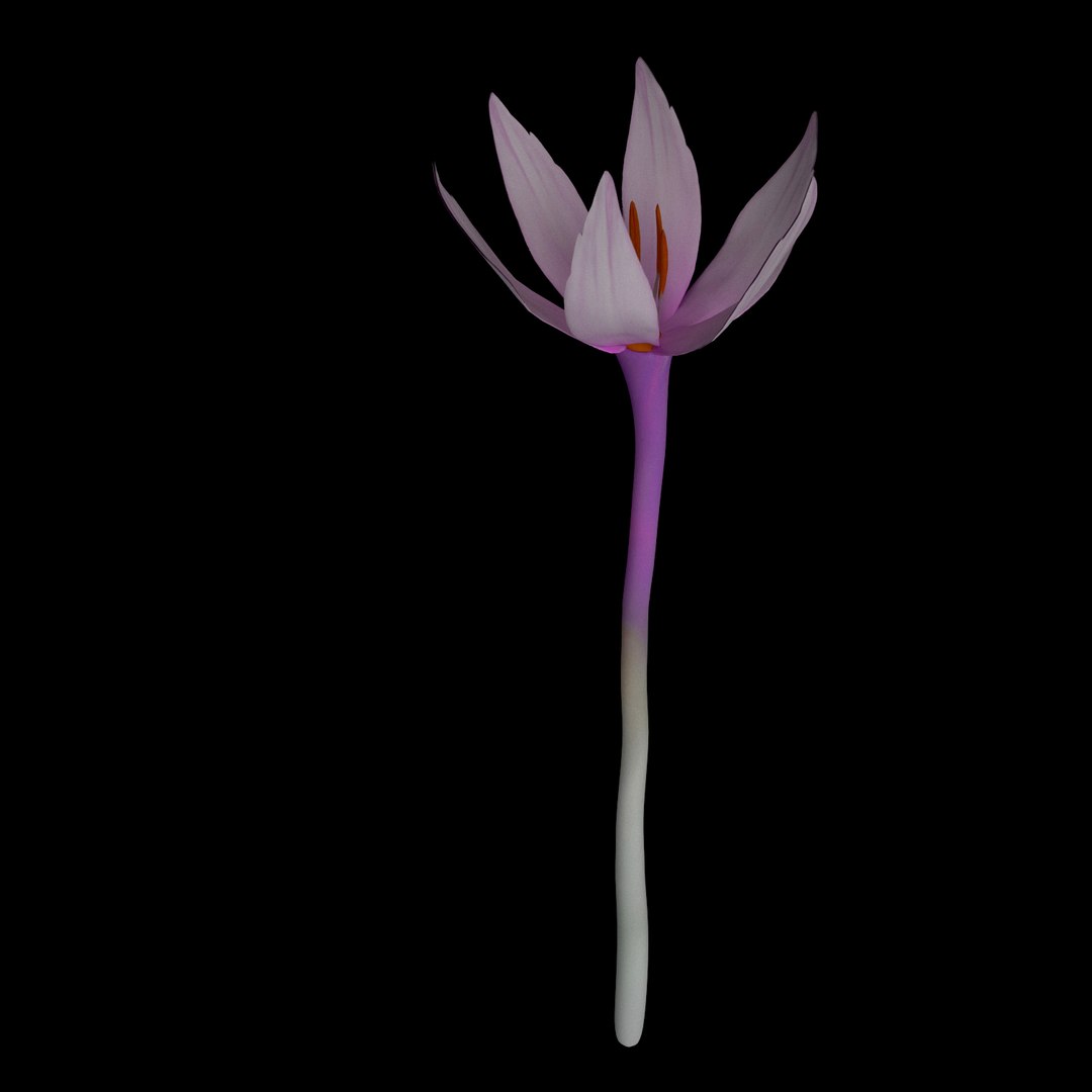 3D model flowers open animation https://p.turbosquid.com/ts-thumb/Ll/T1sAX3/kCsLtTIq/09/jpg/1593949344/1920x1080/fit_q87/fada788a600328c0e838649f38edf348e549ad16/09.jpg