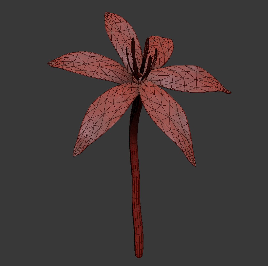 3D model flowers open animation https://p.turbosquid.com/ts-thumb/Ll/T1sAX3/nukPSWkc/03/jpg/1594472281/1920x1080/fit_q87/2a91fb5e5c7d545df36f76618314bd2ac84da734/03.jpg